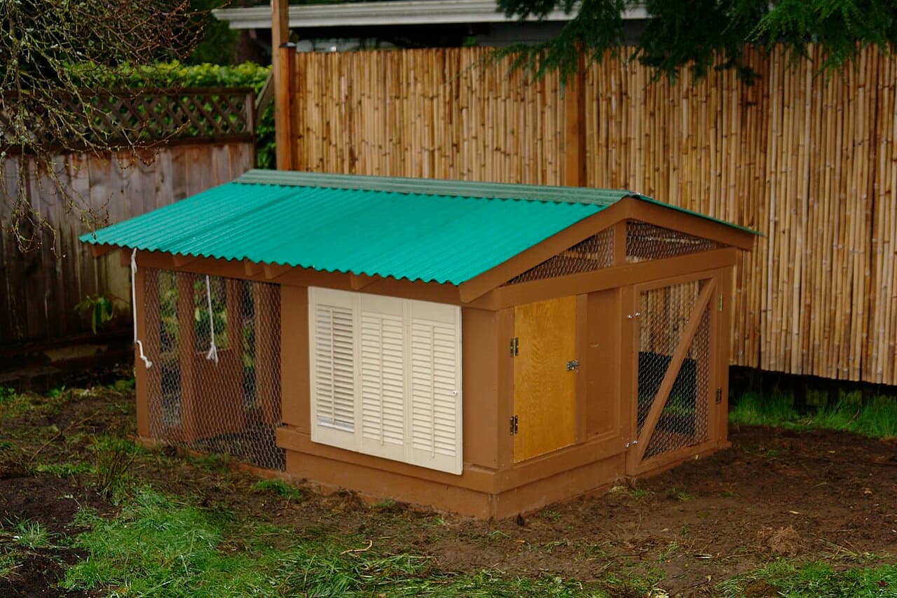 Best Chicken Coops for Small Backyards