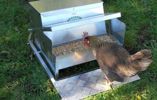 Grandpa's Feeders 20-lb treadle chicken feeder